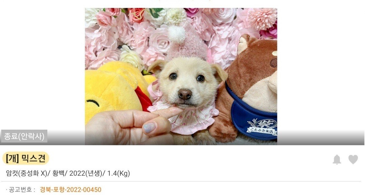 김짤.com_003.jpg