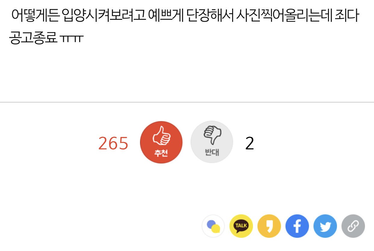 김짤.com_005.jpg