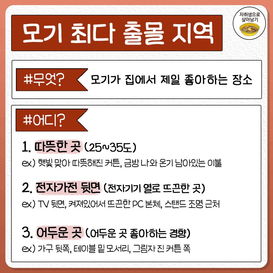 김짤.com_002.jpg