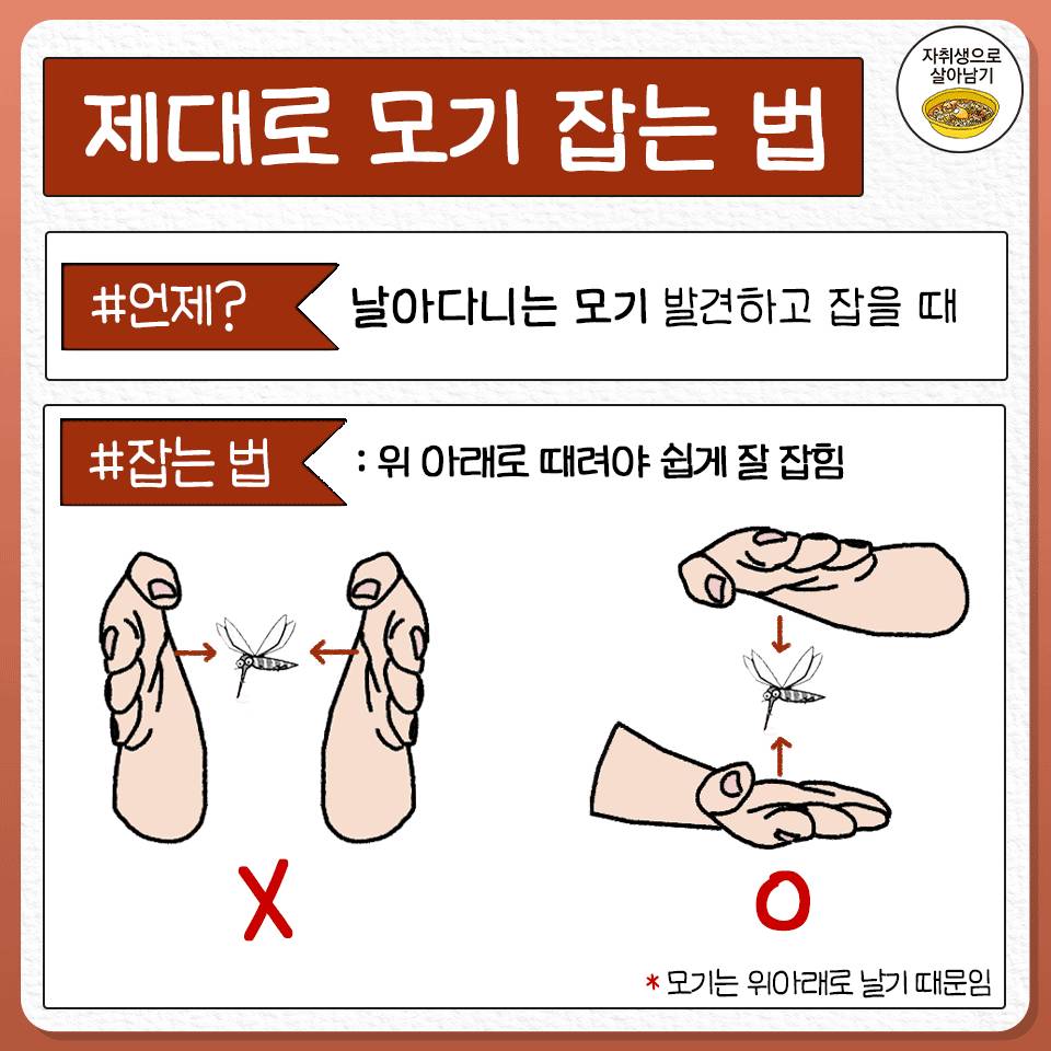 김짤.com_001.jpg