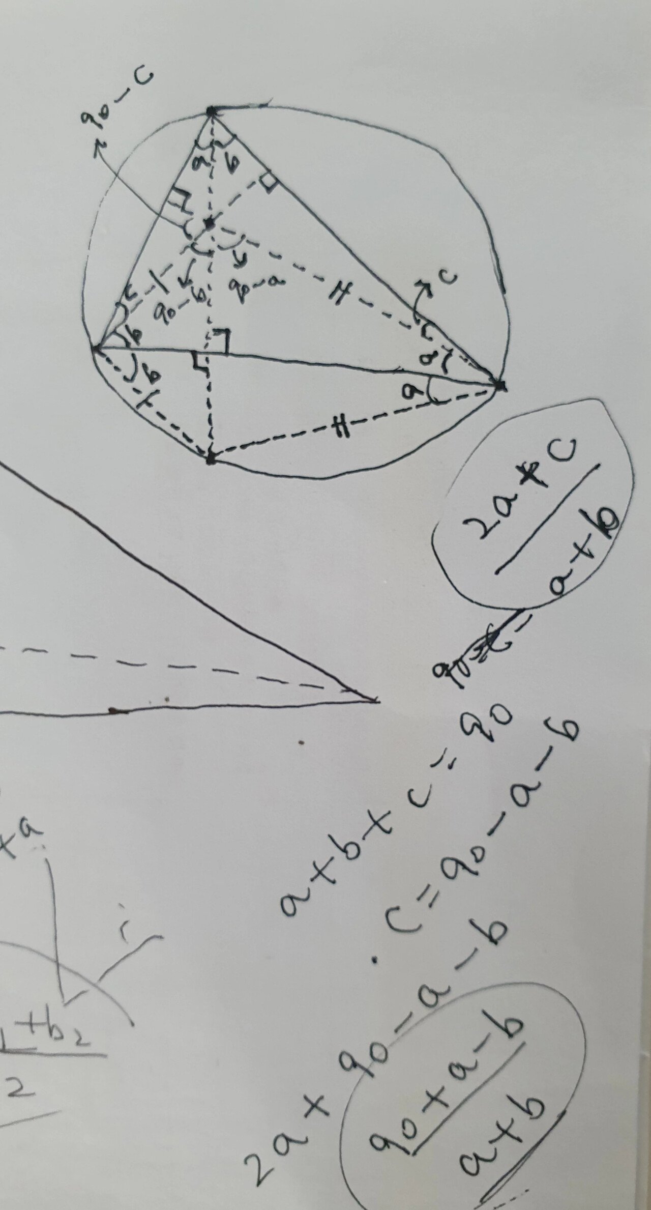 20d2cdb14aac05b03d33c8d4e6049907.webp.ren.jpg 남편 취미가 수학문제 풀기인데.jpg