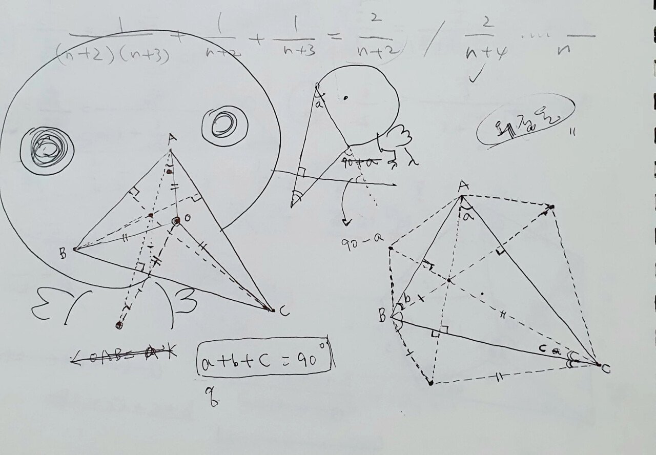 888e013527c89199c9e7b0ef780ccf0e.webp.ren.jpg 남편 취미가 수학문제 풀기인데.jpg