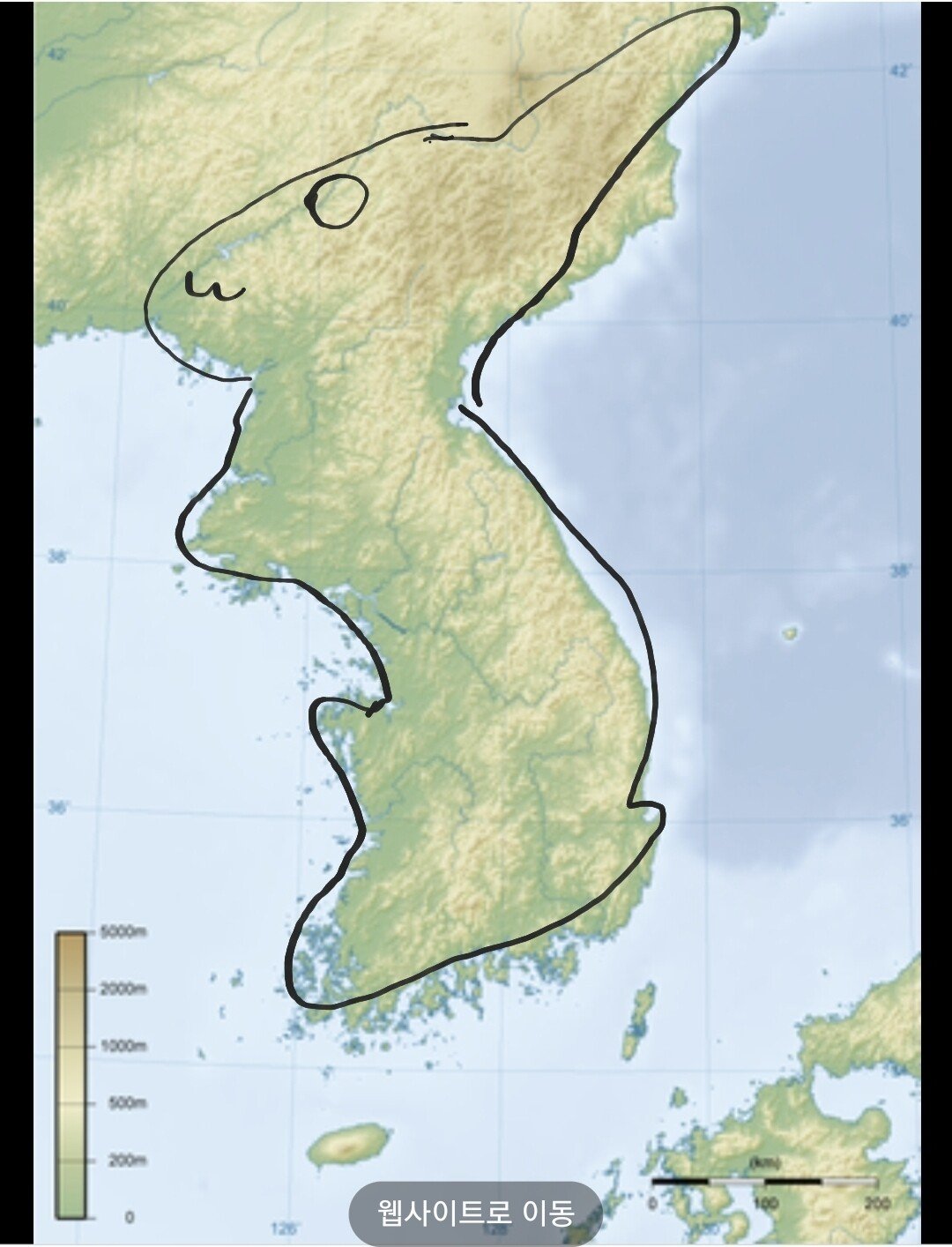 img.jpg