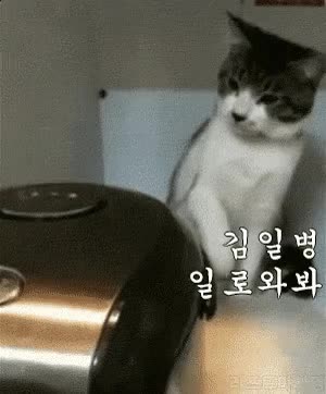 zall1595404891_510045075.gif