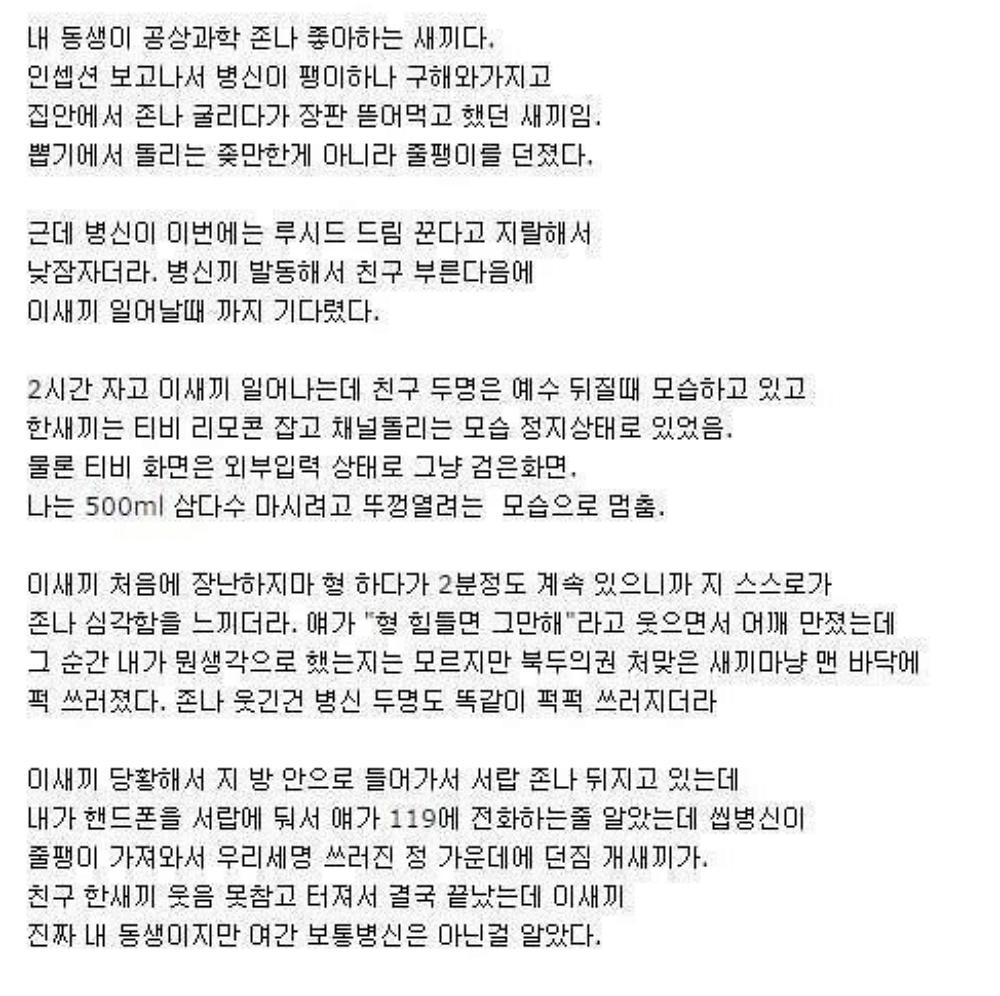 인셉션에 미쳐버린 동생.png.jpg