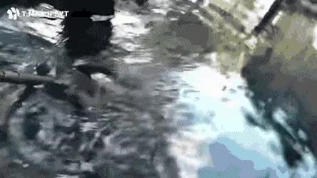 51b6f403f53625dd737d2289219c0a8f_1646733662_59.gif
