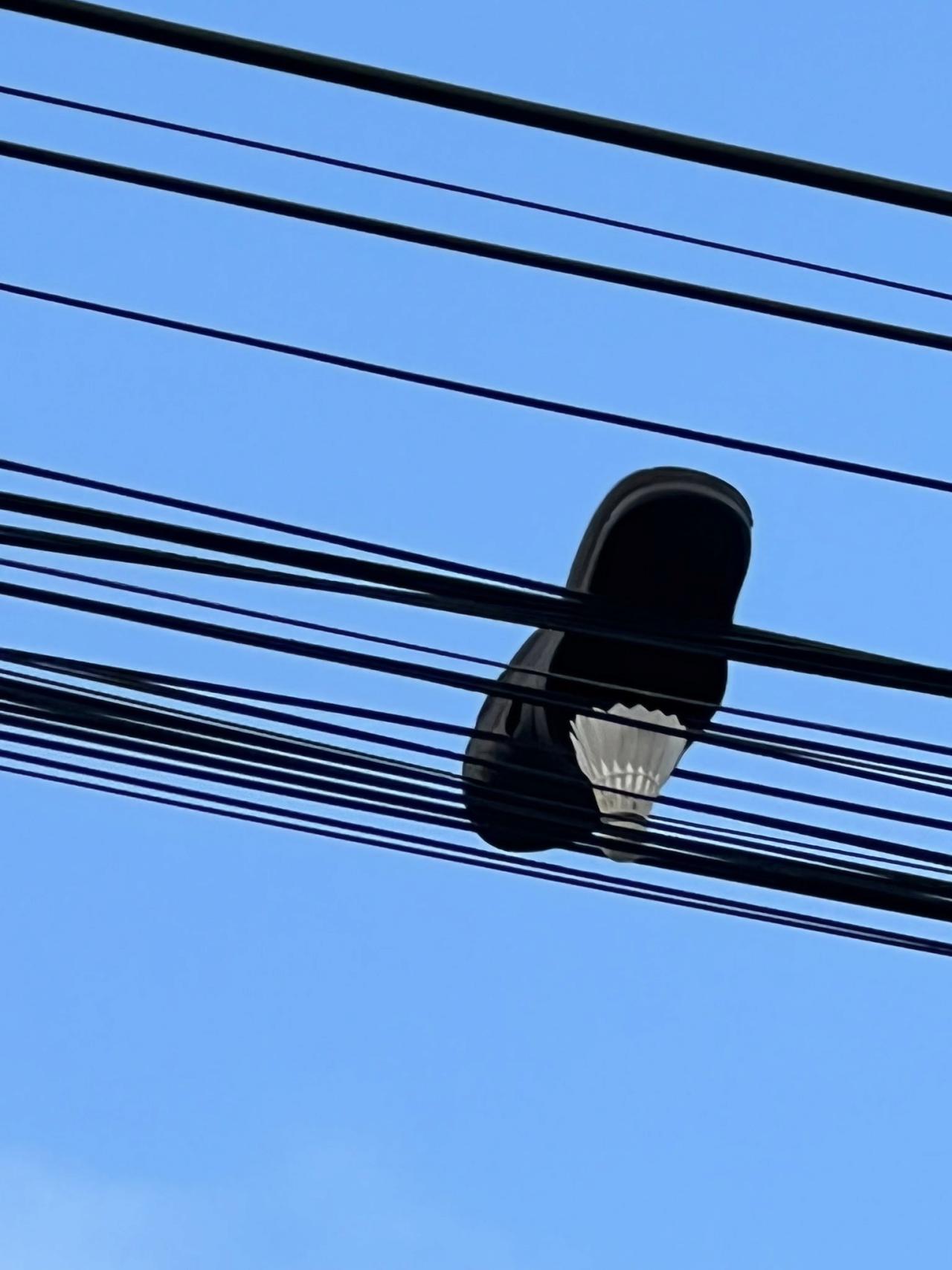 03bc42c4a4e9e645be427829971fc358.png.jpg
