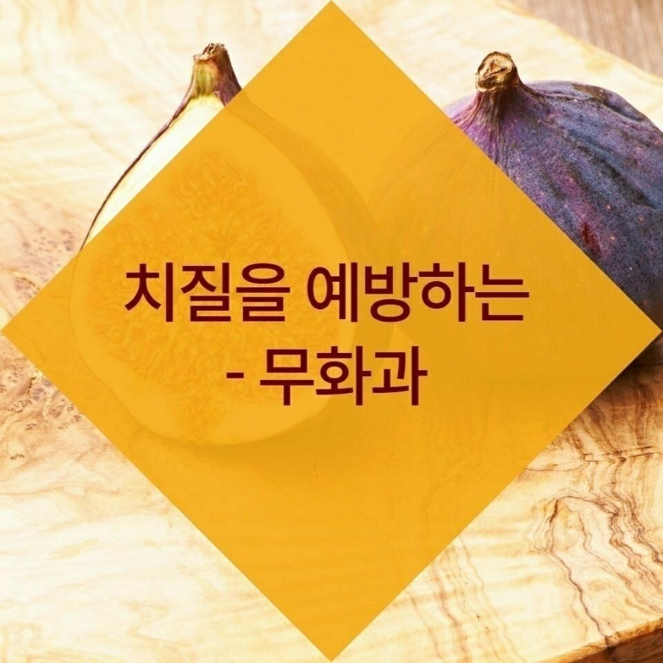 김짤.com_016.jpg