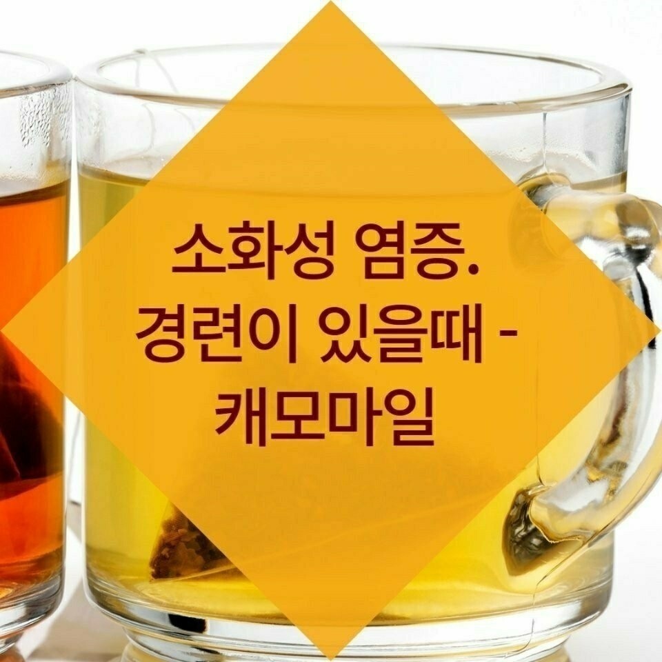 김짤.com_023.jpg