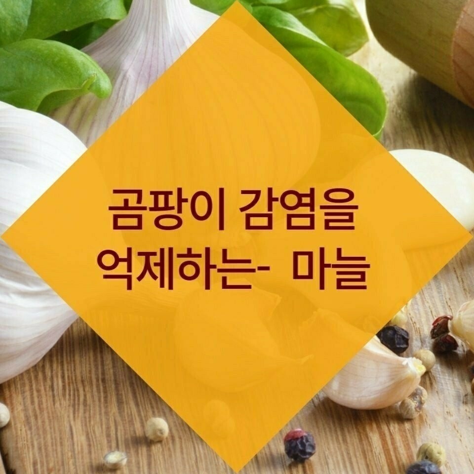 김짤.com_006.jpg