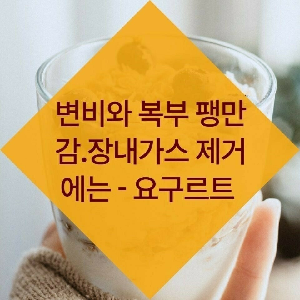 김짤.com_008.jpg