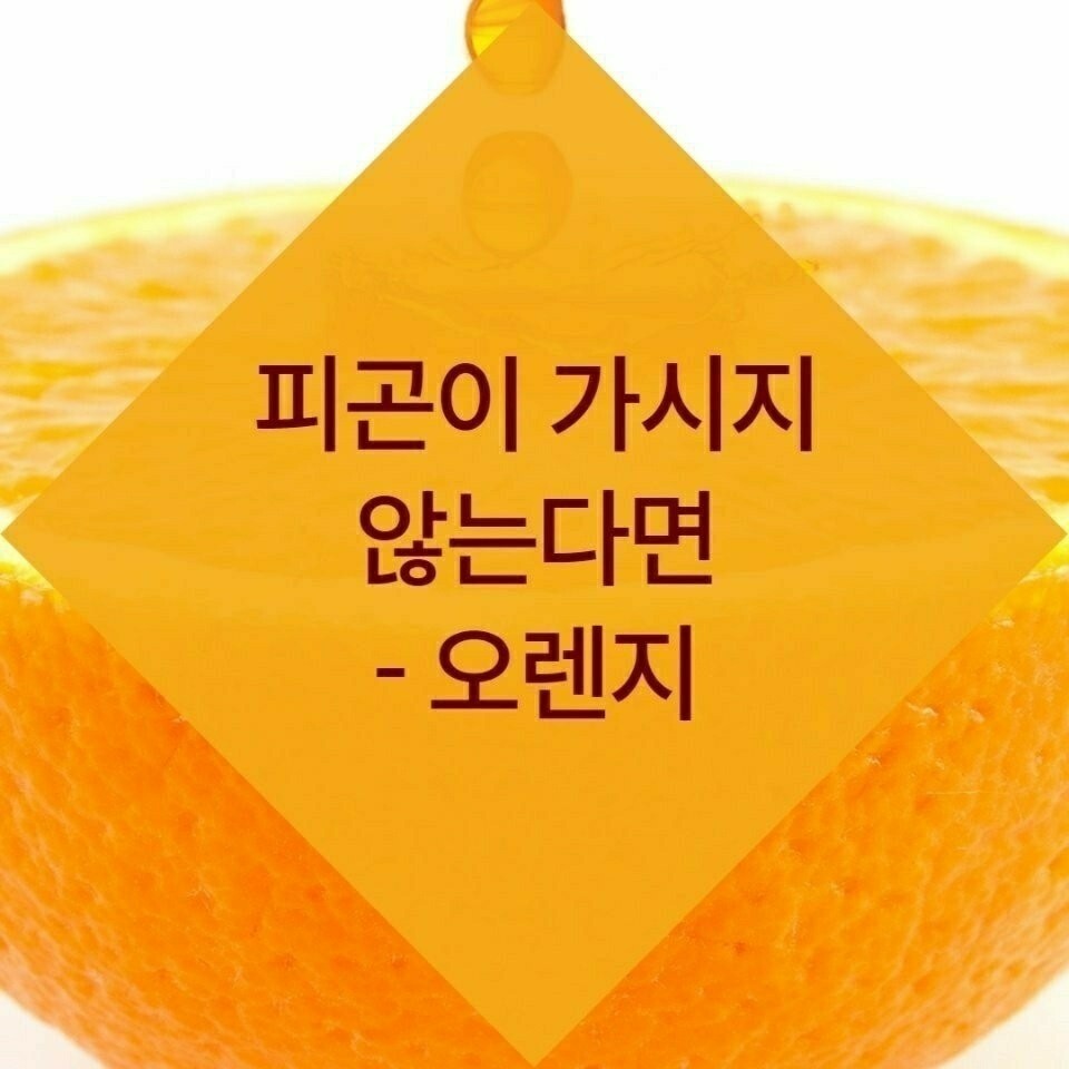 김짤.com_018.jpg