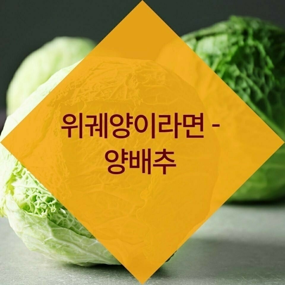 김짤.com_003.jpg