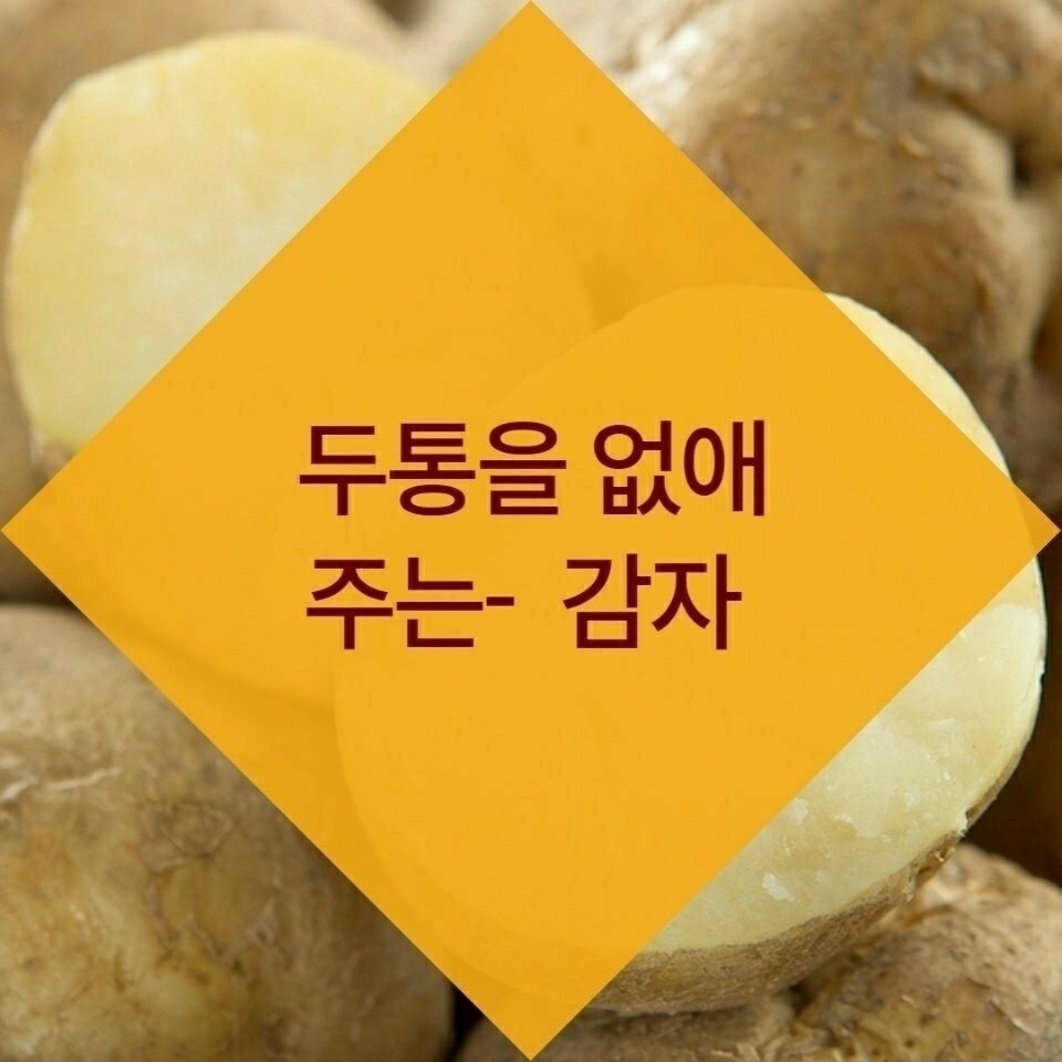 김짤.com_027.jpg