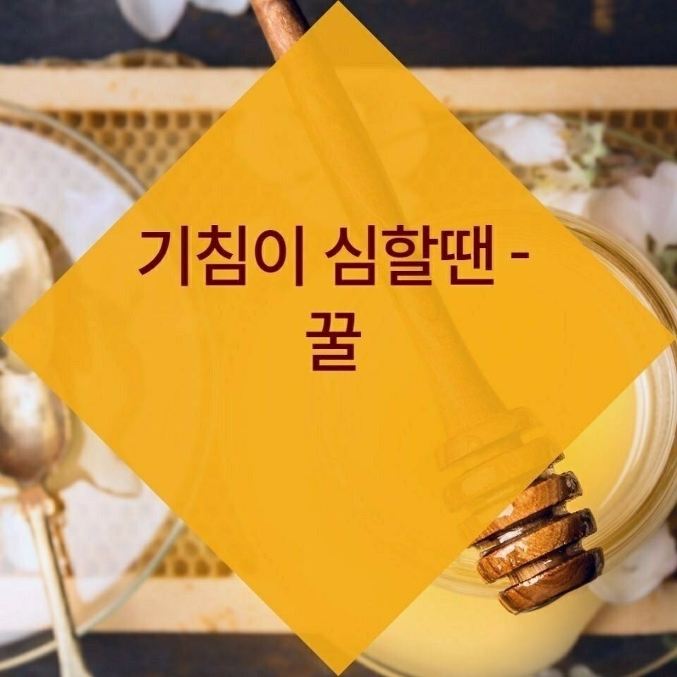 김짤.com_024.jpg