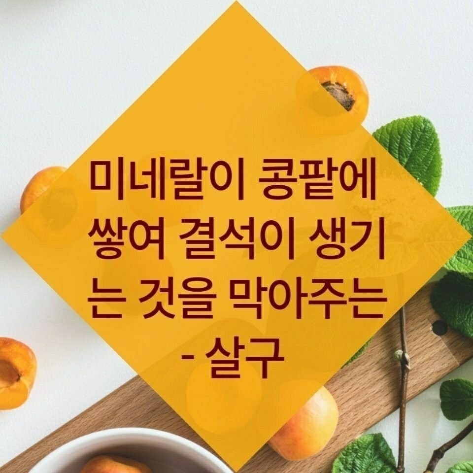 김짤.com_021.jpg