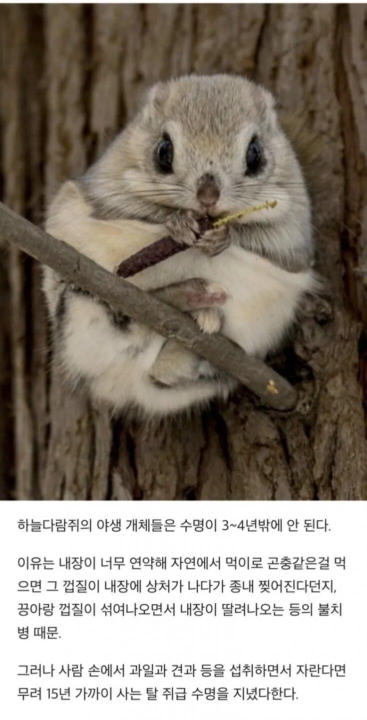 thumb_crop_resize.webp.ren.jpg