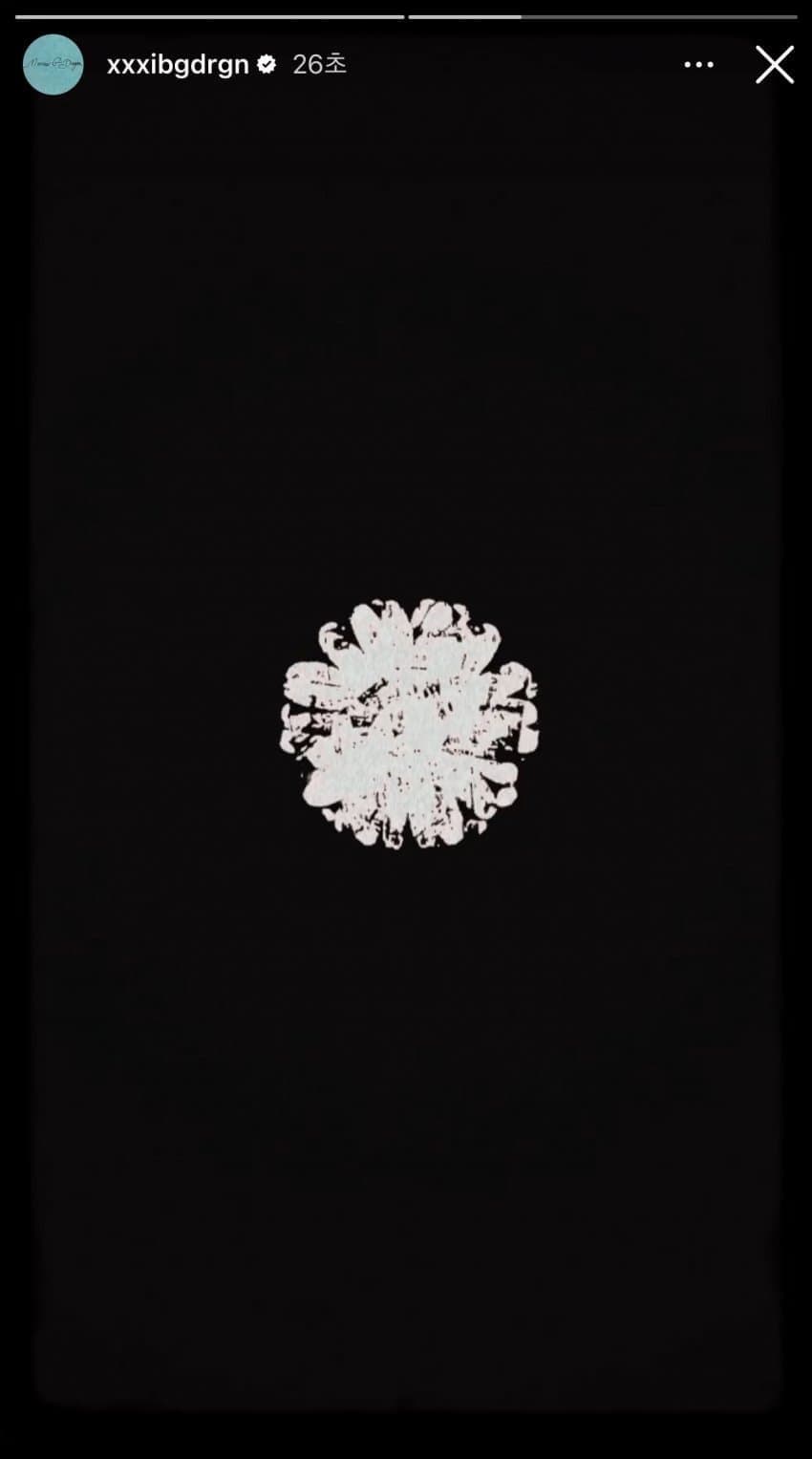IMG_7684.jpeg