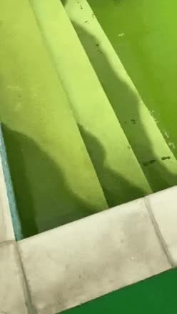 17b00d5e21e7f504.gif