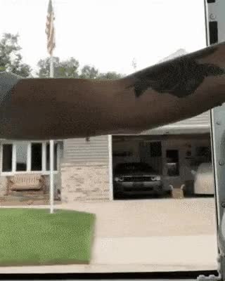 zall1593341740_1102041845.gif