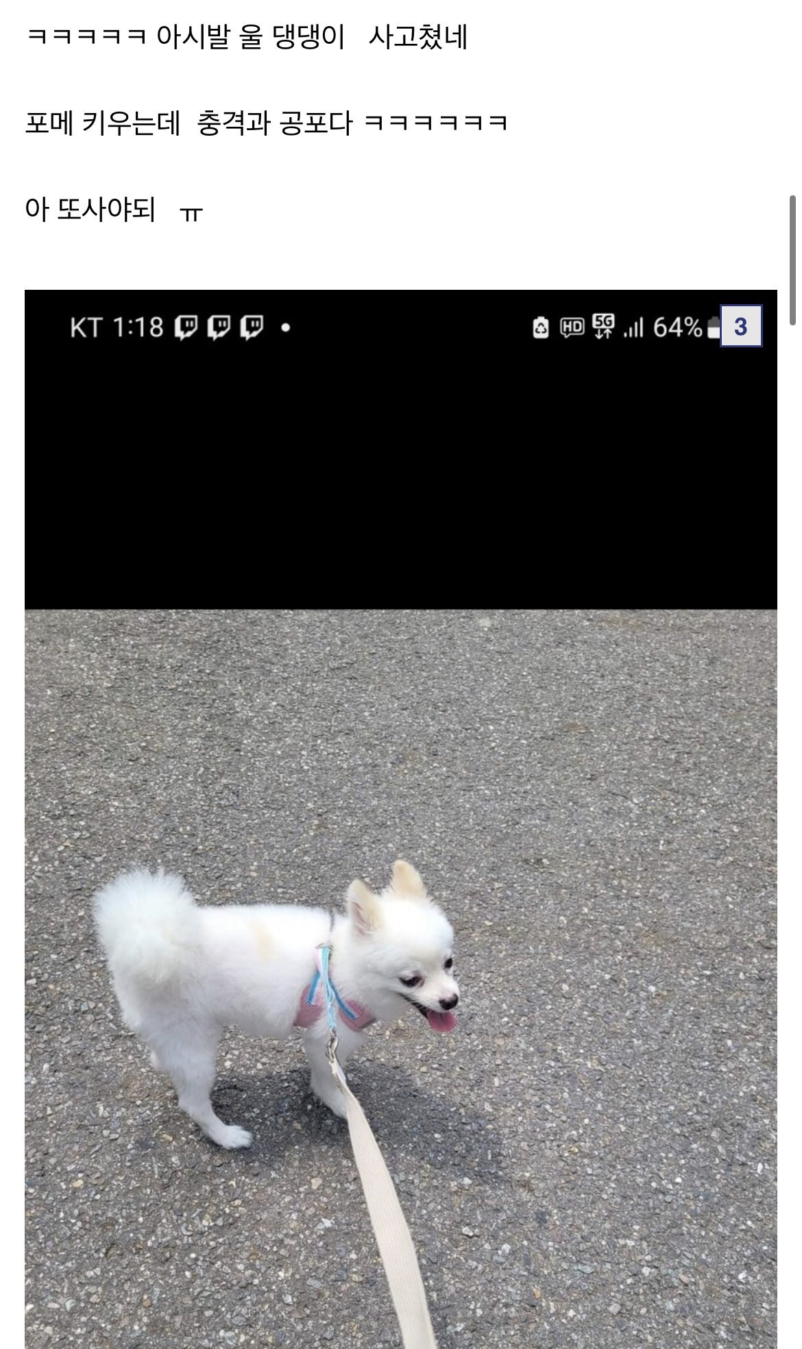 IMG_9582.jpeg 디시) 새로 산. SSD를 물어뜯어버린 강아지 ㅋㅋㅋㅋ