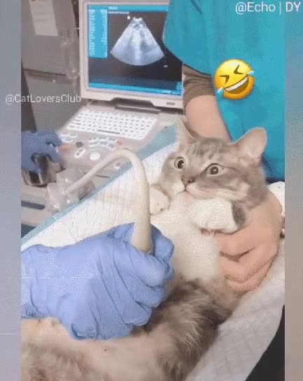 1643159664.gif