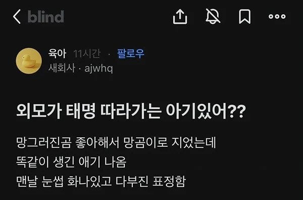 IMG_2340.webp.ren.jpg 태명이 \'망곰이\'였던 아기 근황
