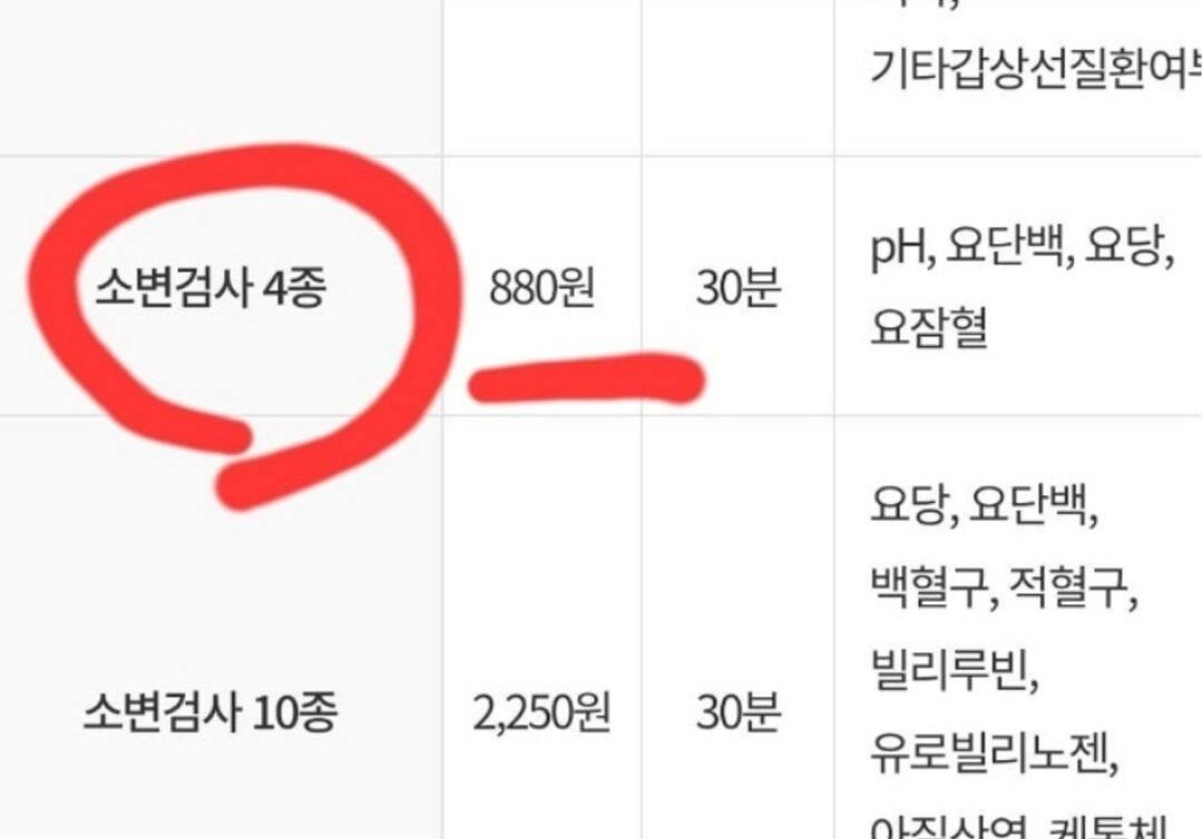 김짤닷컴_004.jpg