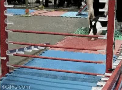 3.gif