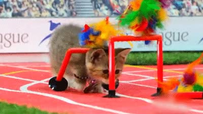 2.gif