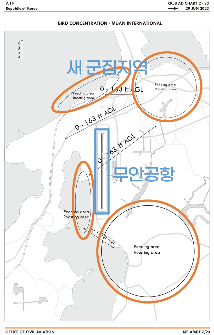 image.png 참사 10일 전 무안공항 회의서 "버드스트라이크" 경고