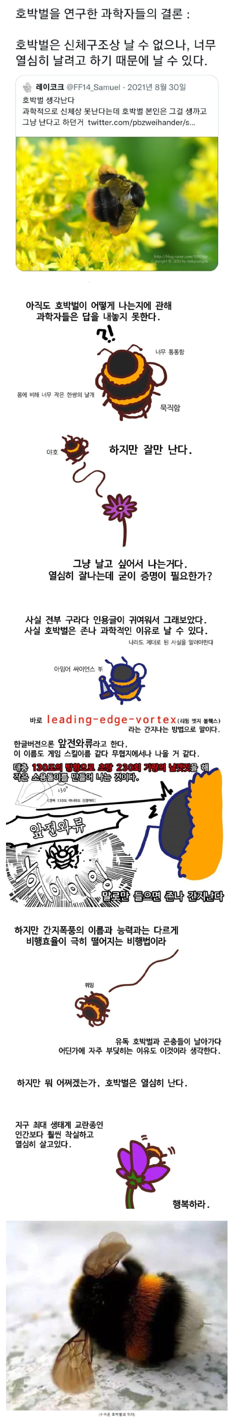 16707350219efaf3baef734eecb5f7ed41d6de86da_mn117629_w800_h4854_f381999_Ym202212.png.ren.jpg