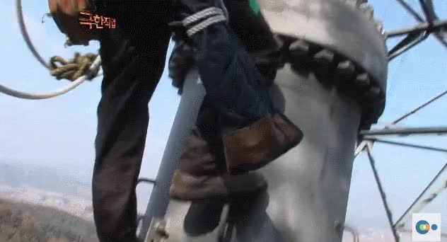 1.gif