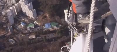 6.gif