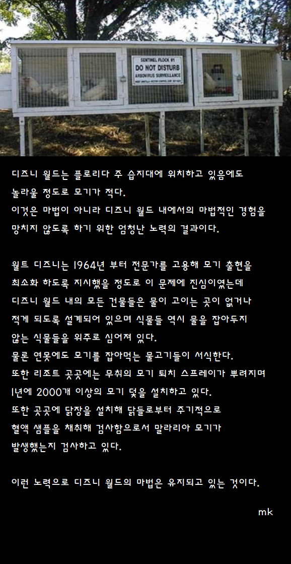 e2a09046ef7959e914e05de5933cfc8f.png