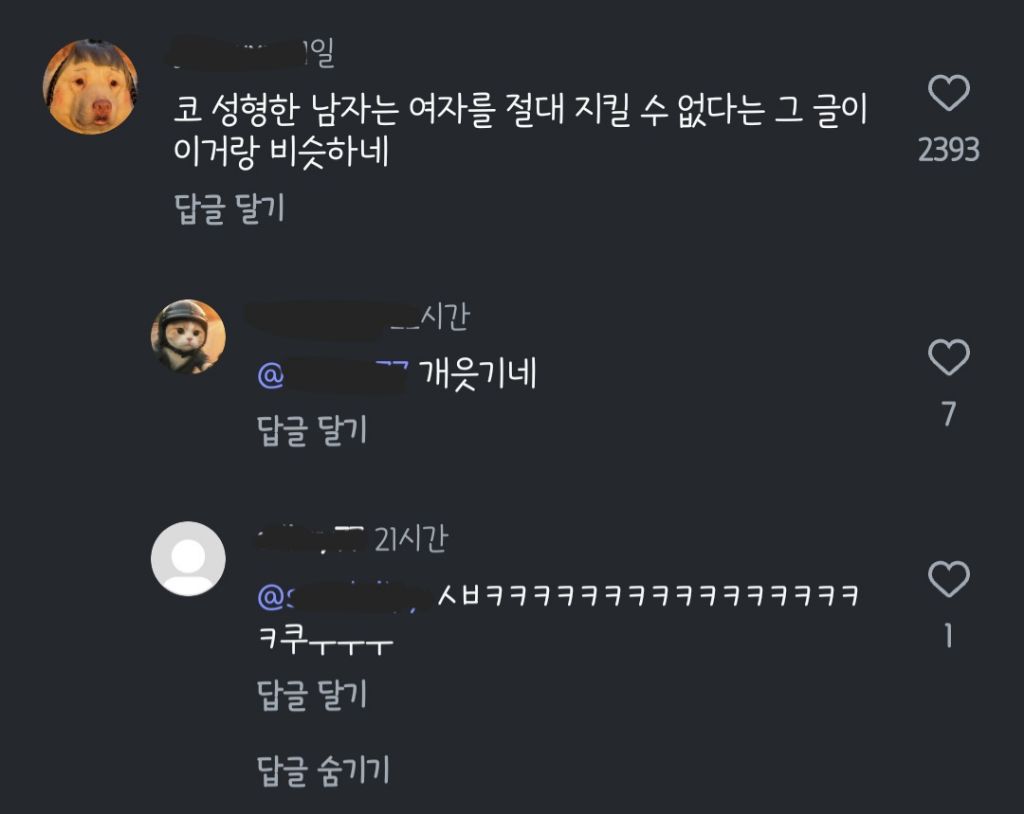 연프에서 게임하다가 순식간에 일어난 사고(feat.코성형한 남자는 구축만을 지킨다...) 9번째 사진