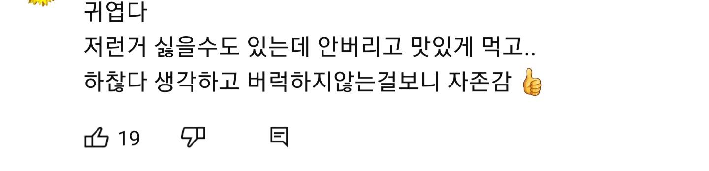 이지혜 유튜브에 달리는 댓글 수준 | 인스티즈