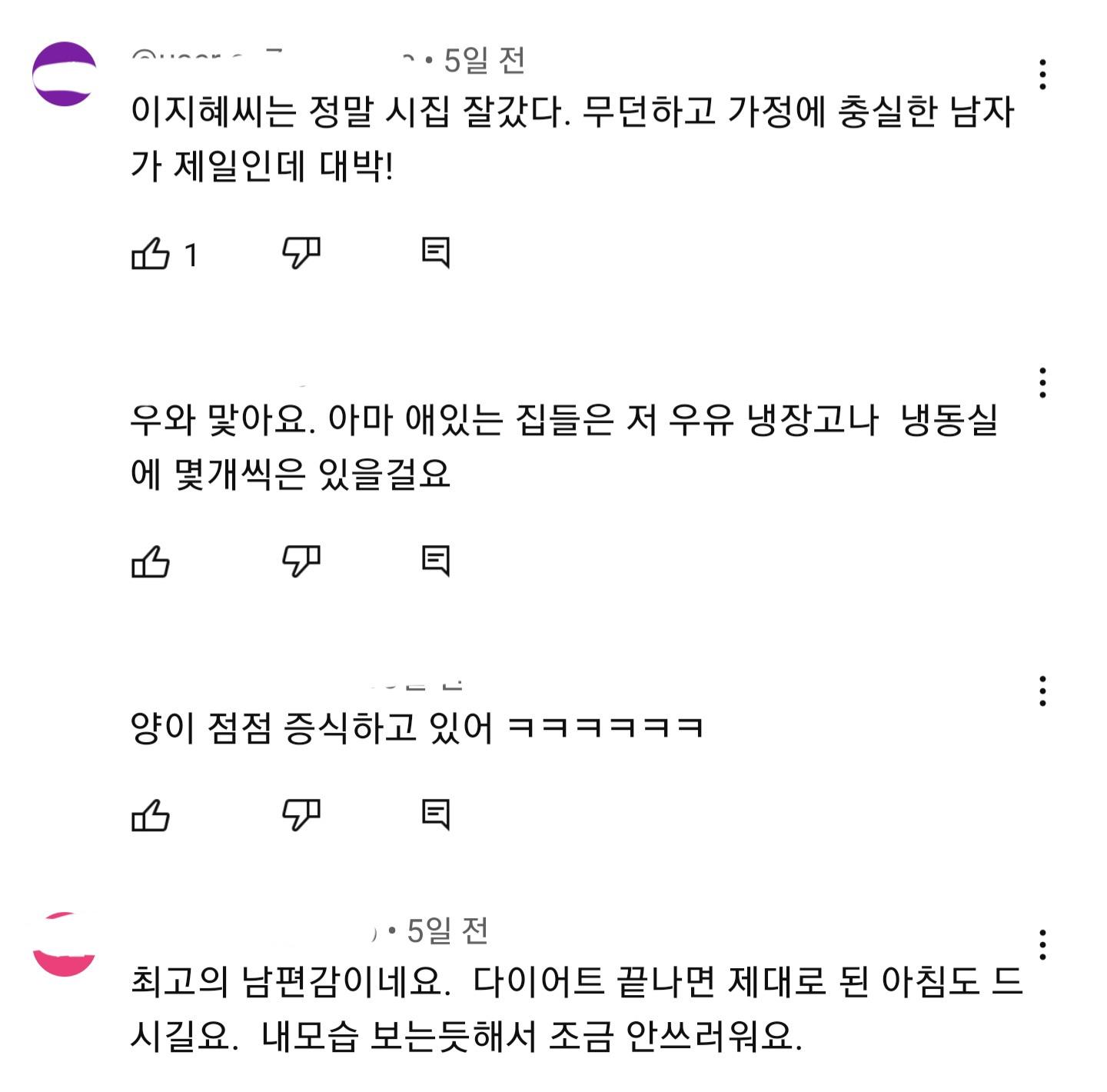 이지혜 유튜브에 달리는 댓글 수준 | 인스티즈