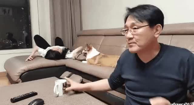 12.gif