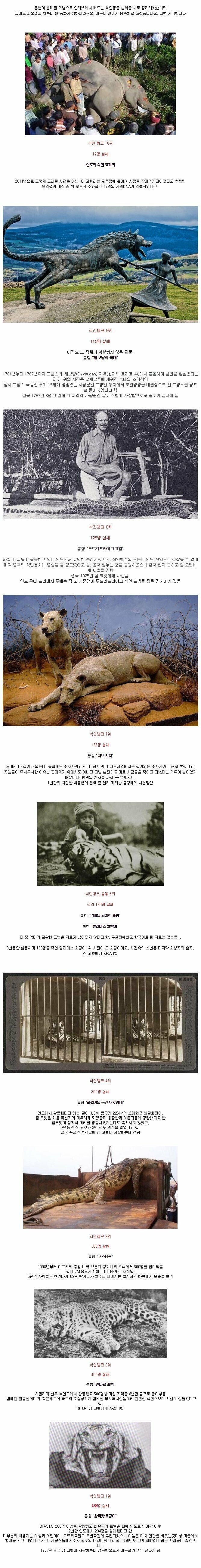 1b0a1ee39b1c19713524285f808838d0.jpeg 전설로 남은 식인동물 리스트.jpg