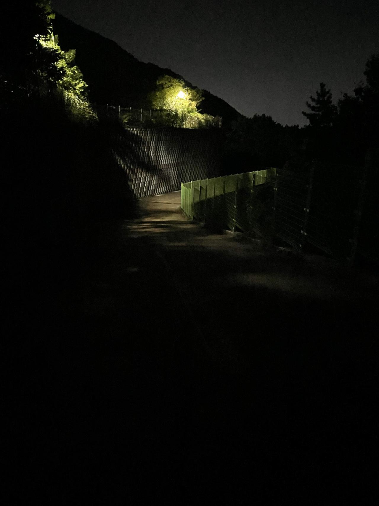 925BCAD0-60F4-4B02-B325-DFD367DA38D8.jpeg.jpg