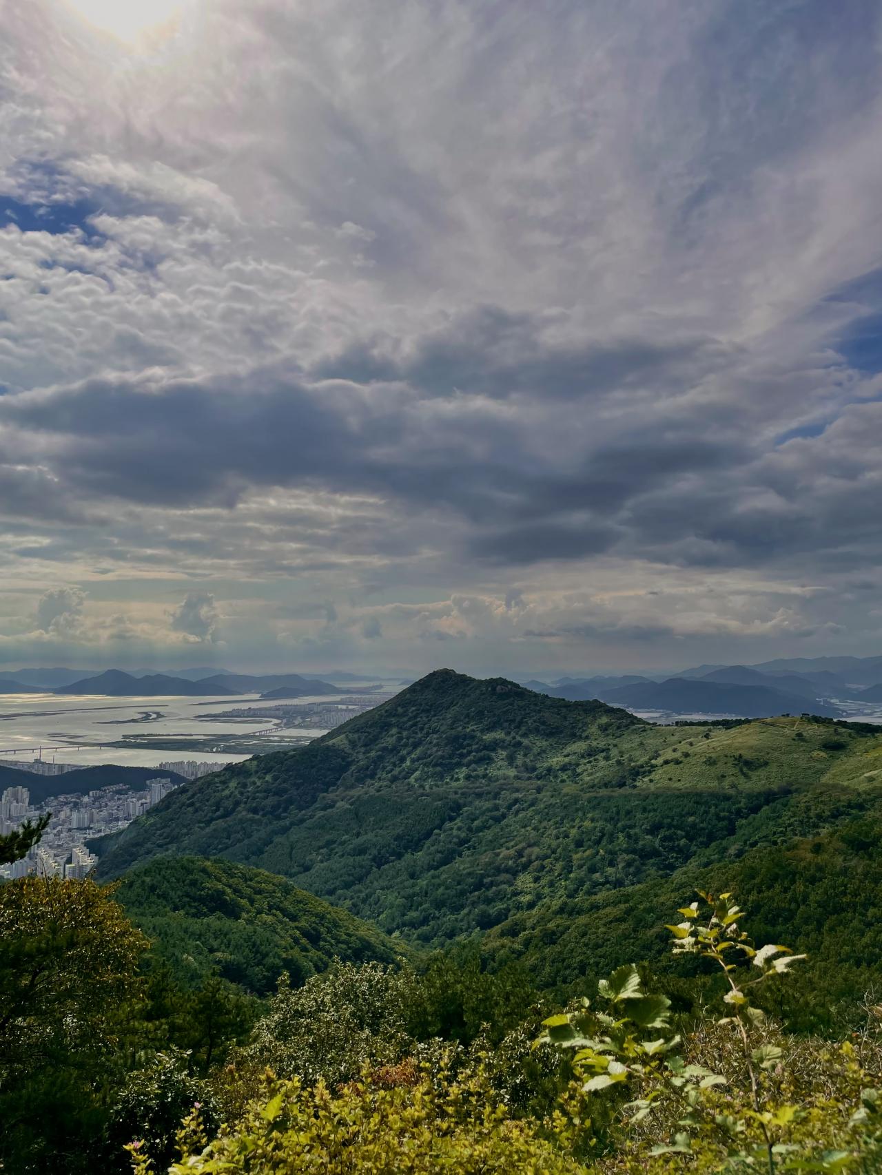 BD6B7406-371B-4746-AD68-933C7F9652D8.jpeg.jpg