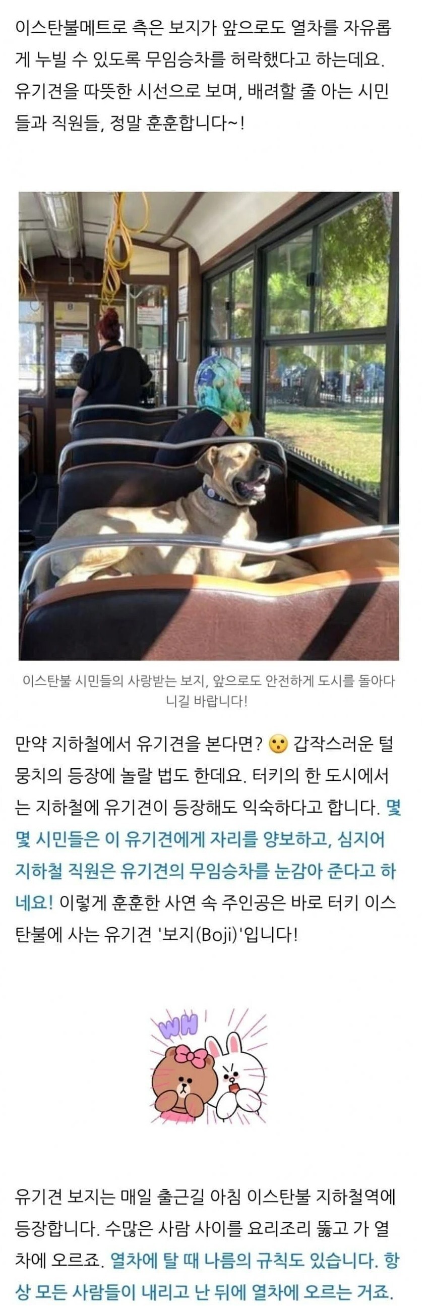 보지.jpg