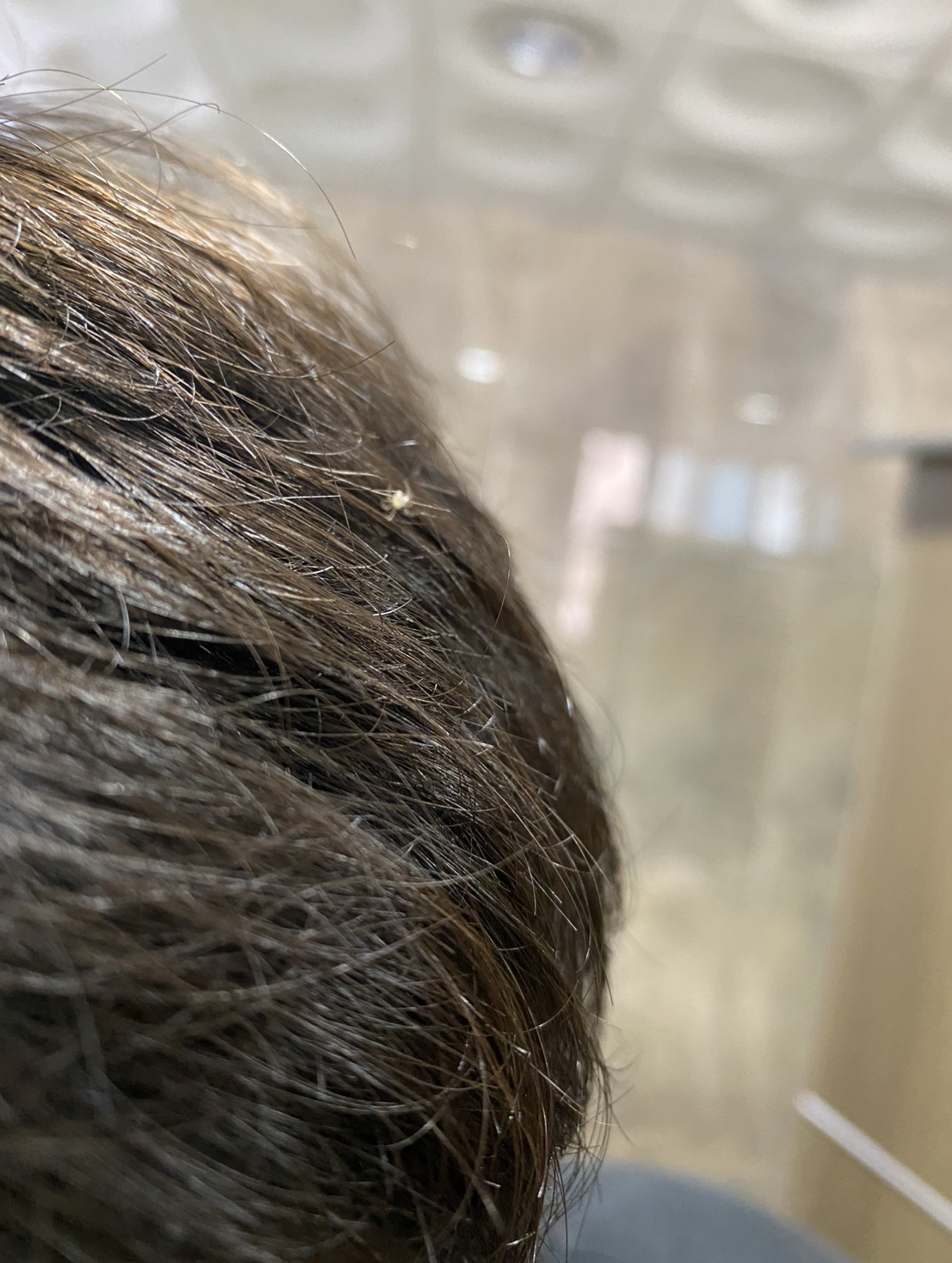094197D4-7B1B-43F3-9B9D-F8B84E6976BB.jpeg