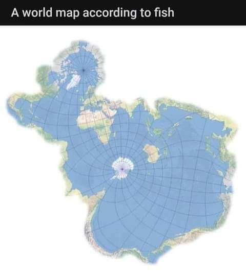 1.jpeg