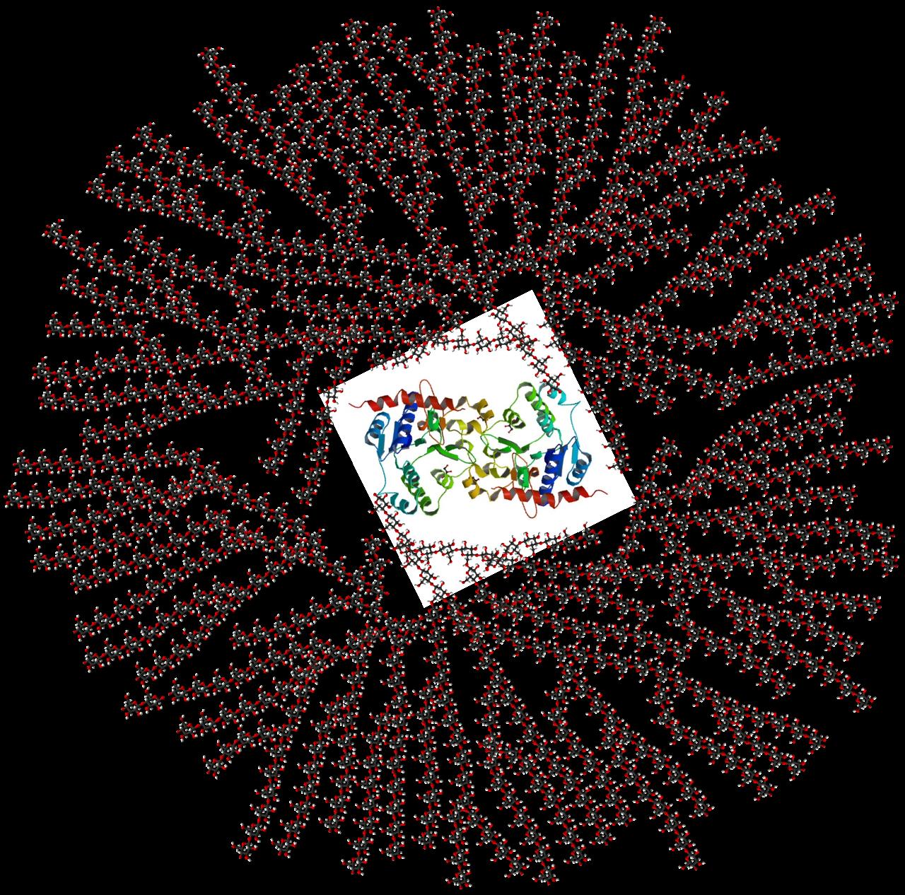 1280px-Glycogen_structure.svg.png.jpg