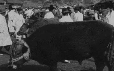 불과 60여년 전 한국인 생활수준...gif (스크롤)