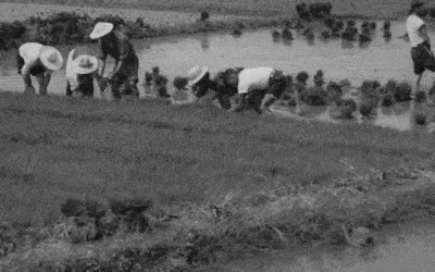 불과 60여년 전 한국인 생활수준...gif (스크롤)