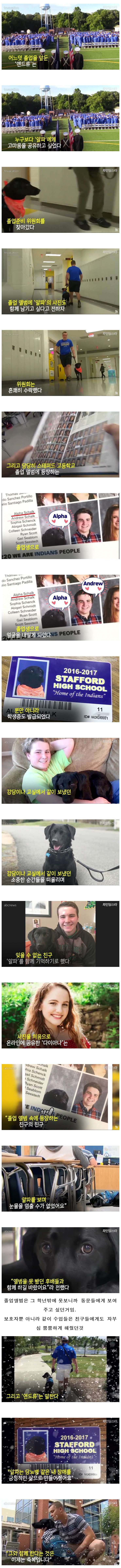 7.jpeg