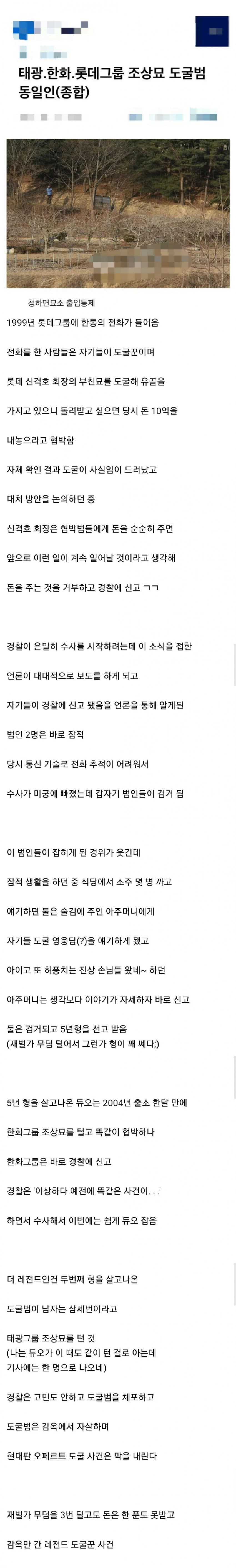 도굴꾼.jpeg